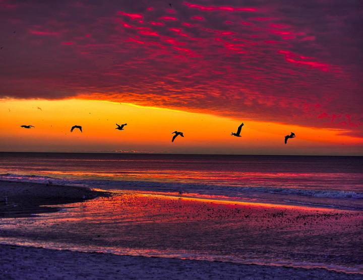 birds-flying-at-sunrise-joe-granita